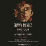 Shawn-Mendes-2019-Poster