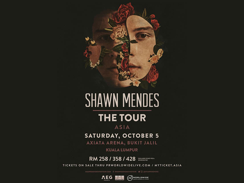 Shawn-Mendes-2019-Poster