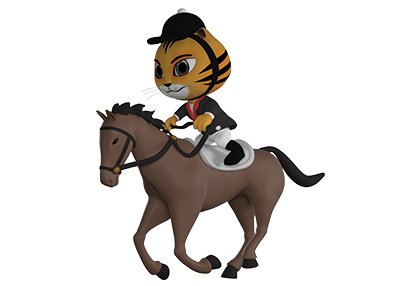 ENDURANCE EQUESTRIAN